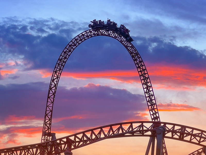 Attractions and Shows for Halloween Night