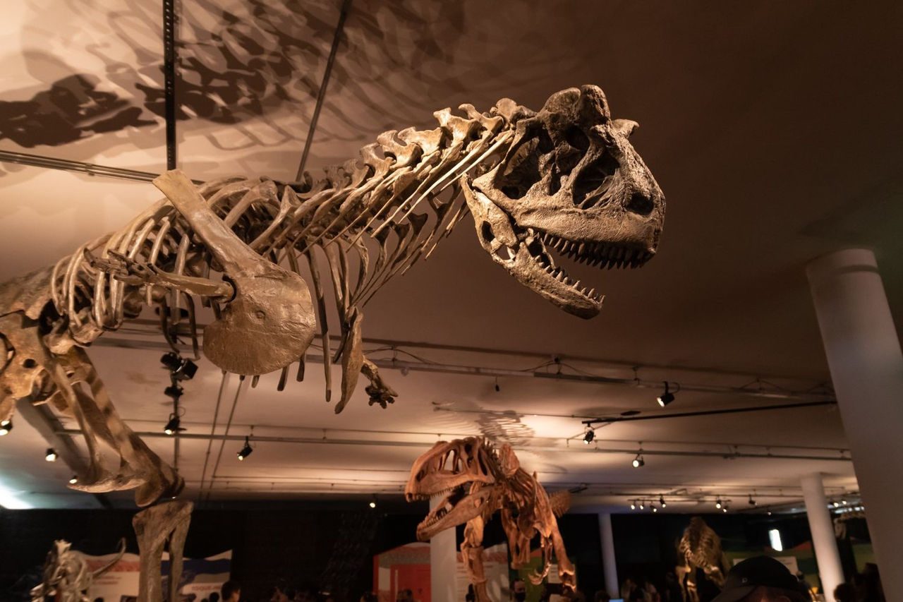 Museo Giovanni Capellini