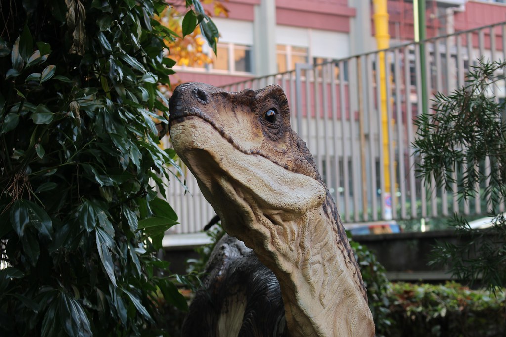 Dinosauri in carne e ossa