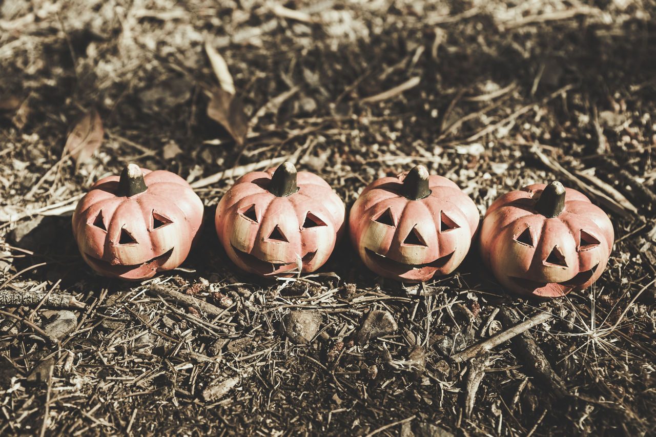 Pumpkins