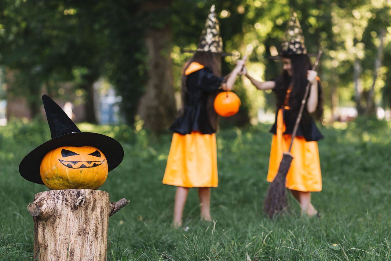 Pumpkins2
