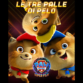 PAW Patrol tre palle di pelo