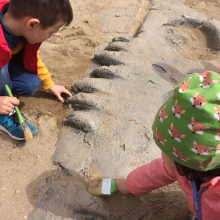 Oltremare and Mirabilandia - excursions for groups and schools